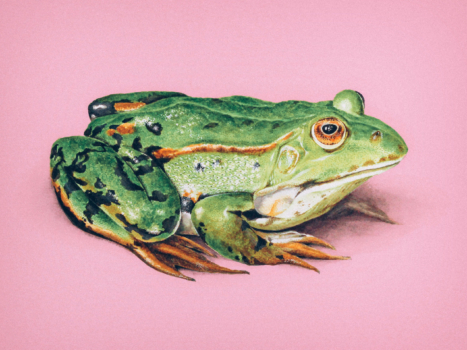 Screen-Shot-2022-10-22-at-12.56.30_RNI