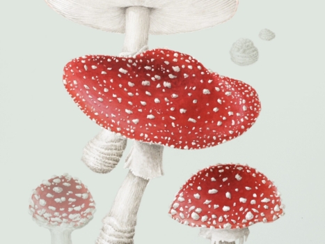 Screen Shot 2022-10-22 at 12.58.56