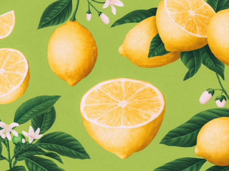 Screen-Shot-2022-10-22-at-13.42.19_cut_a